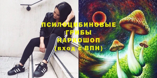 mdpv Горно-Алтайск