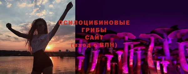 mdpv Горно-Алтайск