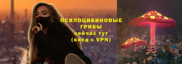 mdpv Горно-Алтайск